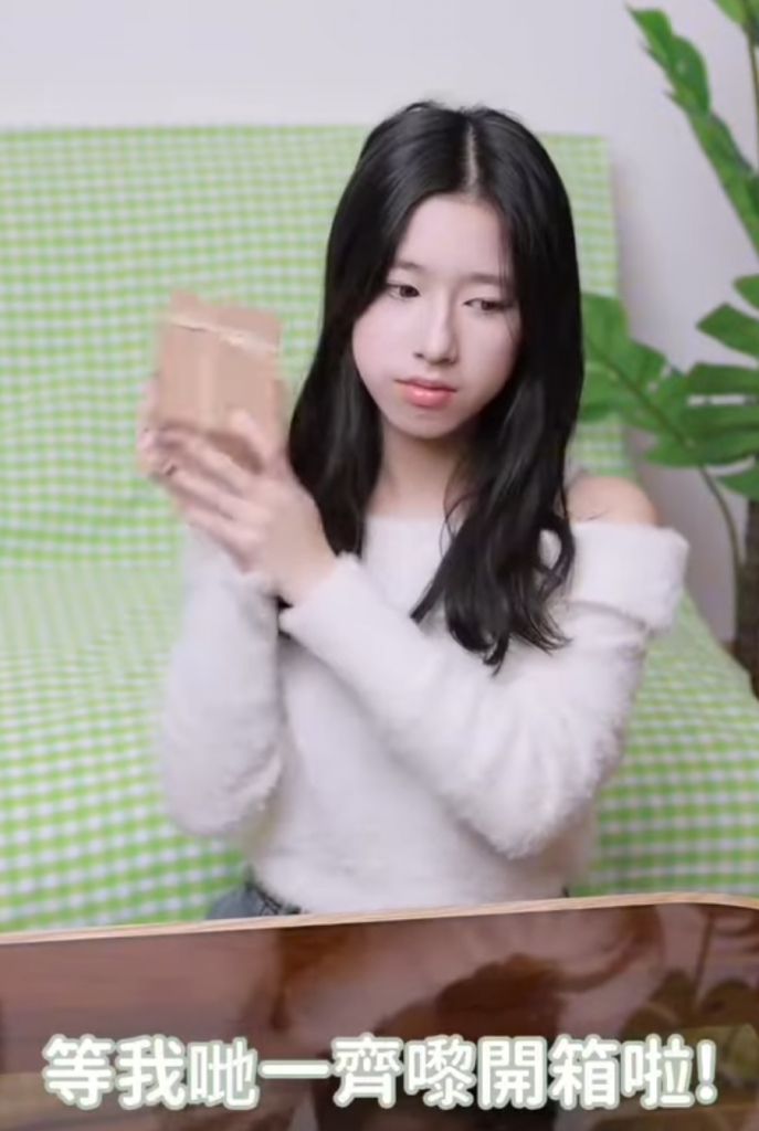 EEAT IG人氣KOL claxny 真心開箱 CuteFigureHK Q版人像公仔