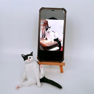 貓貓公仔 送給貓咪做生日禮物又得、紀念又得!其他寵物公仔都可以訂做的