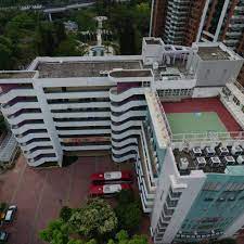 港大同學會小學的全景空拍圖，展示校舍建築和周邊綠化環境，校園內停泊兩輛紅色校巴，是校長退休禮物案例的背景。