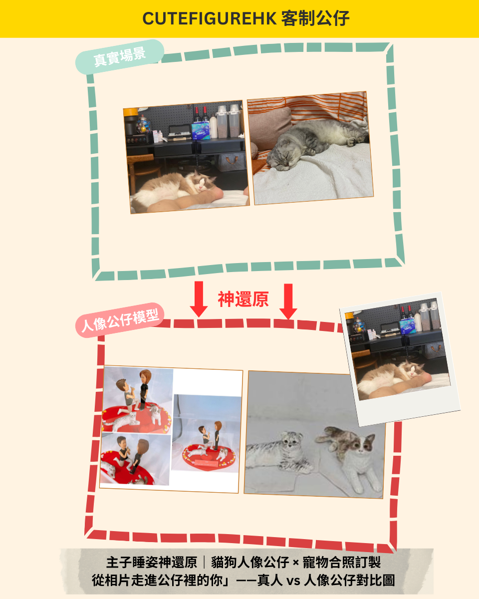 compare 對比 寵物 求婚