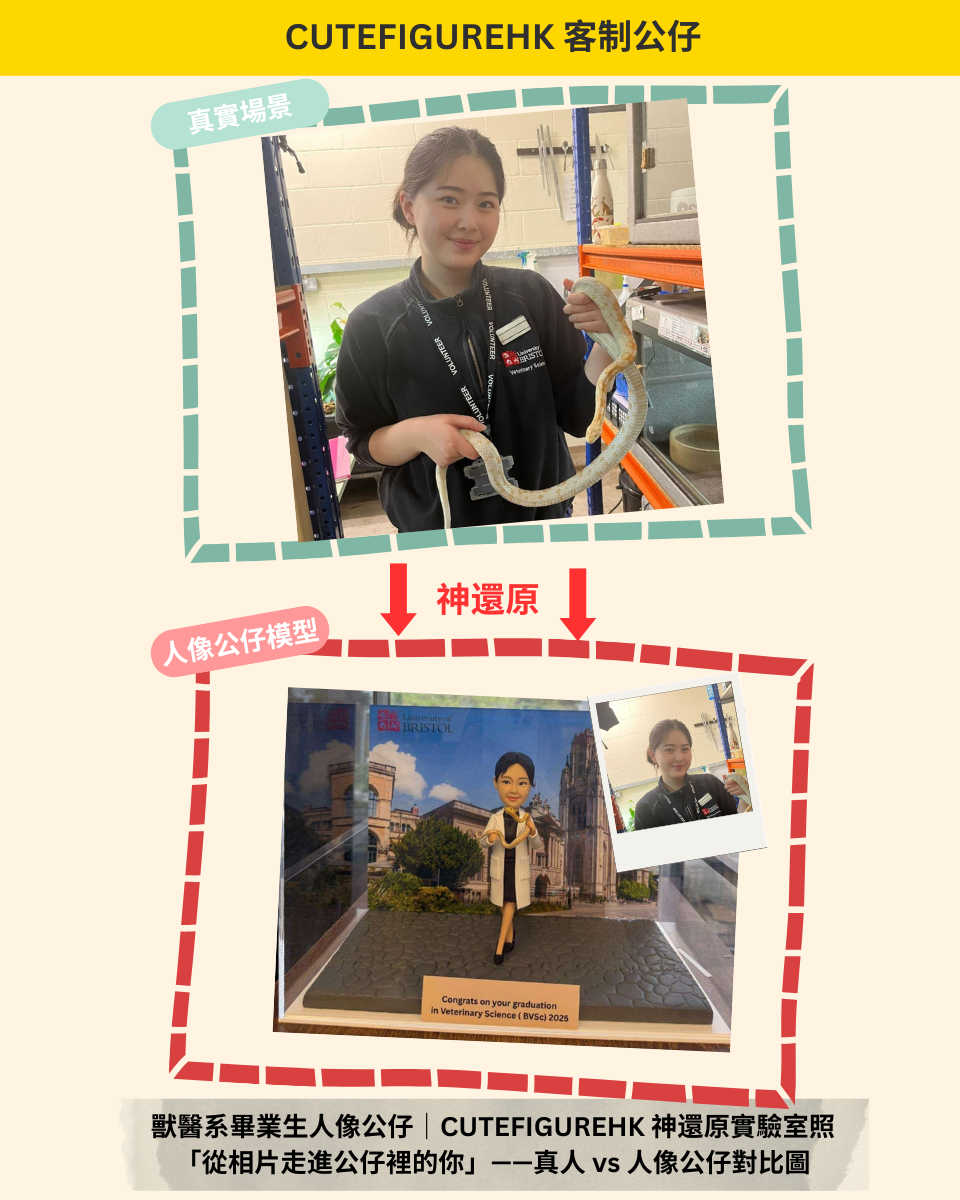 畢業 graduation 畢業公仔 compare 對比