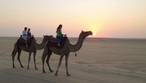 澳洲布魯姆凱布爾海灘