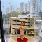 CUTEFIGUREHK 客製化醫護人員榮休紀念公仔。一位短髮女士身穿帶有金色飾邊的粉紅色連身裙，雙手優雅地交疊在胸前。公仔站立在帶有一圈紅玫瑰裝飾的紅色圓形底座上。底座前方設有一塊專屬名牌，印有「Elaine Choi Happy Retirement A&E QMH 2026」。公仔被放置在透明展示盒內，背景是一張瑪麗醫院急症室入口及停泊著救護車的照片。