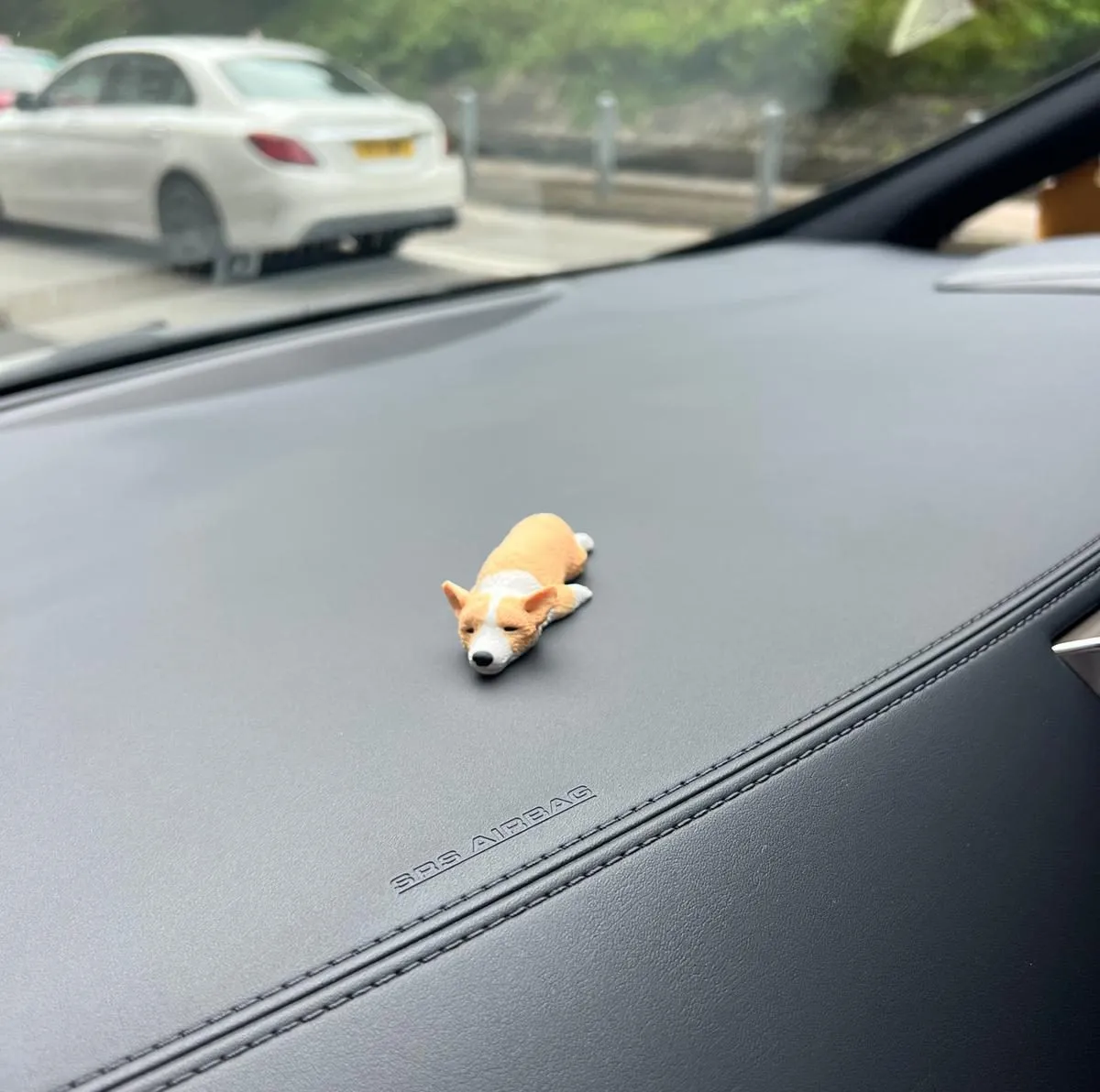 動物擺設禮物 狗狗公仔 車貼 貓貓公仔 動物公仔訂造
