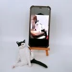 貓貓公仔 送給貓咪做生日禮物又得、紀念又得!其他寵物公仔都可以訂做的