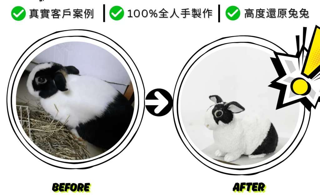 兔兔公仔訂製 還完你的寵物 對比圖 相似度高