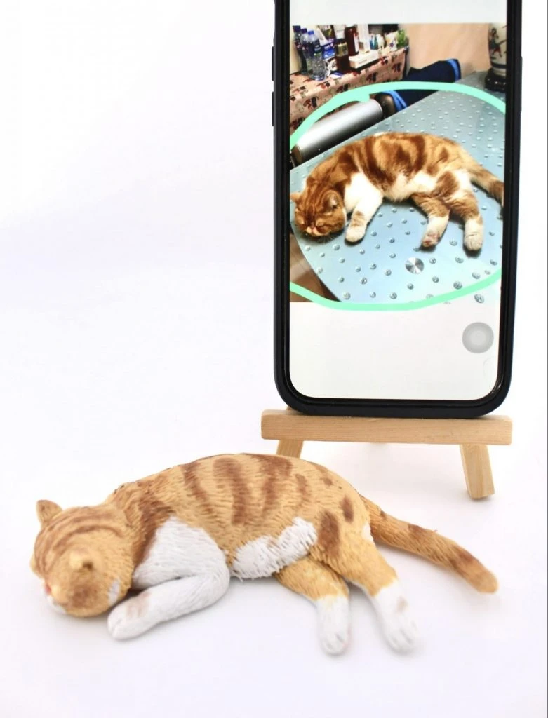 一隻橘白虎斑家貓造型的寵物公仔側躺熟睡在白色背景上，橘色虎斑與白胸、白前腳、白後腳細節清晰，尾巴自然向後延伸。後方有一支立在小木架上的手機，螢幕顯示原貓照片：同樣的橘白虎斑家貓以相同姿勢睡在金屬桌面上，呈現照片到公仔的對照。