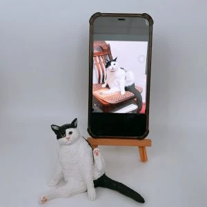 黑白短毛貓造型的寵物公仔坐地擺出清潔身體的姿勢：身體以白色為主，左耳與左眼周圍為黑色，右耳為白色；長尾巴為黑色，左後腳抬起露出粉色肉球。旁邊的手機立於木質小畫架上，螢幕顯示同一隻黑白短毛貓以相同姿勢坐在椅子上的參考照片，呈現公仔與原貓對照。