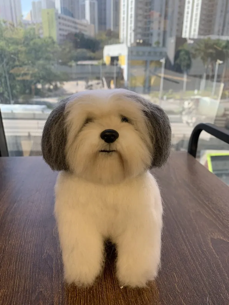 一隻毛茸茸的白色古代牧羊犬訂造人像公仔，頭部兩側是灰色毛髮，坐喺木紋桌面上，背景是城市窗景。