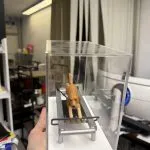 透明壓克力展示盒內放置一隻棕色犬隻造型的動物公仔，四肢站在銀色普拉提／訓練器材上，前方有黑色握桿與踏板，地台為白色。畫面由手掌托起展示盒拍攝，背景為室內工作環境與書架、設備等雜物。