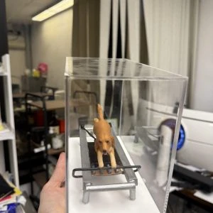 透明壓克力展示盒內放置一隻棕色犬隻造型的動物公仔，四肢站在銀色普拉提／訓練器材上，前方有黑色握桿與踏板，地台為白色。畫面由手掌托起展示盒拍攝，背景為室內工作環境與書架、設備等雜物。