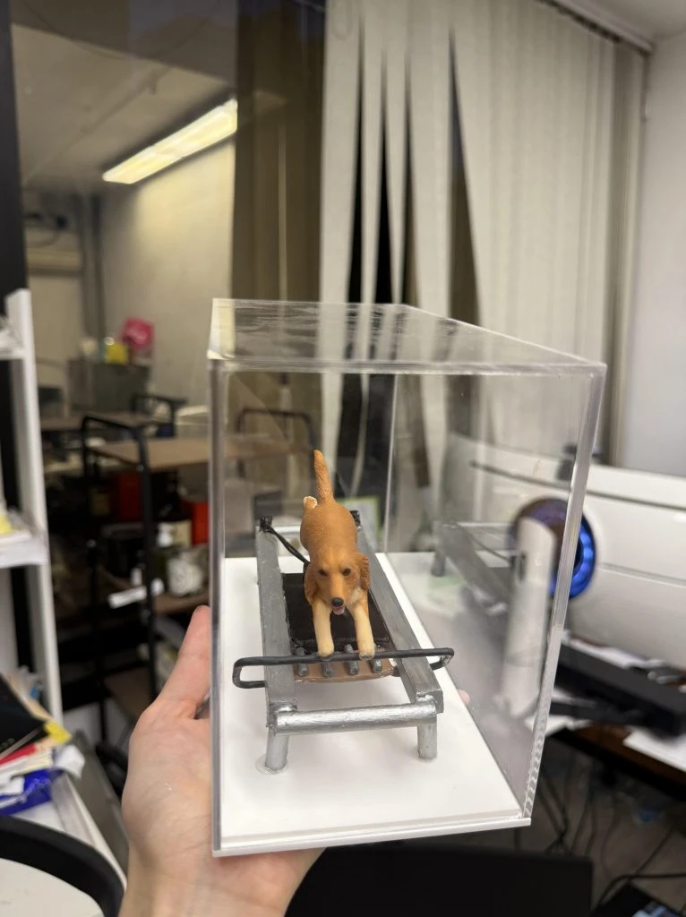 透明壓克力展示盒內放置一隻棕色犬隻造型的動物公仔，四肢站在銀色普拉提／訓練器材上，前方有黑色握桿與踏板，地台為白色。畫面由手掌托起展示盒拍攝，背景為室內工作環境與書架、設備等雜物。