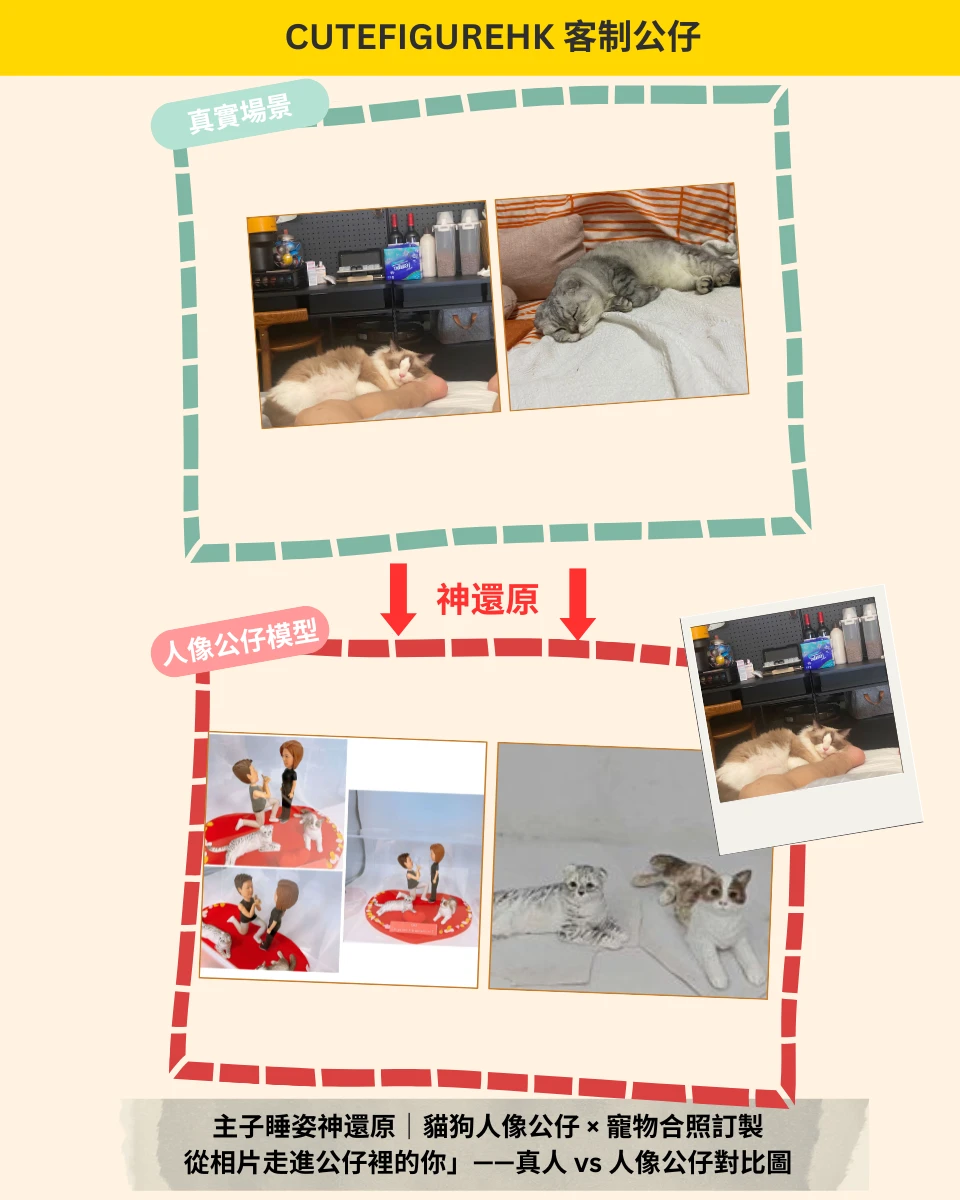 compare 對比 寵物 求婚