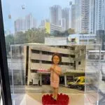 CUTEFIGUREHK 客製化醫護人員榮休紀念公仔。一位短髮女士身穿帶有金色飾邊的粉紅色連身裙，雙手優雅地交疊在胸前。公仔站立在帶有一圈紅玫瑰裝飾的紅色圓形底座上。底座前方設有一塊專屬名牌，印有「Elaine Choi Happy Retirement A&E QMH 2026」。公仔被放置在透明展示盒內，背景是一張瑪麗醫院急症室入口及停泊著救護車的照片。