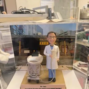 手持超聲探頭及超聲儀醫療領導致謝公仔