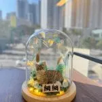 【玻璃穹頂的喵星光】客製寵物貓公仔｜乾燥花花環 × 小燈串
