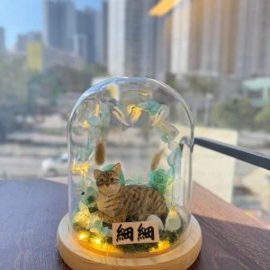 【玻璃穹頂的喵星光】客製寵物貓公仔｜乾燥花花環 × 小燈串