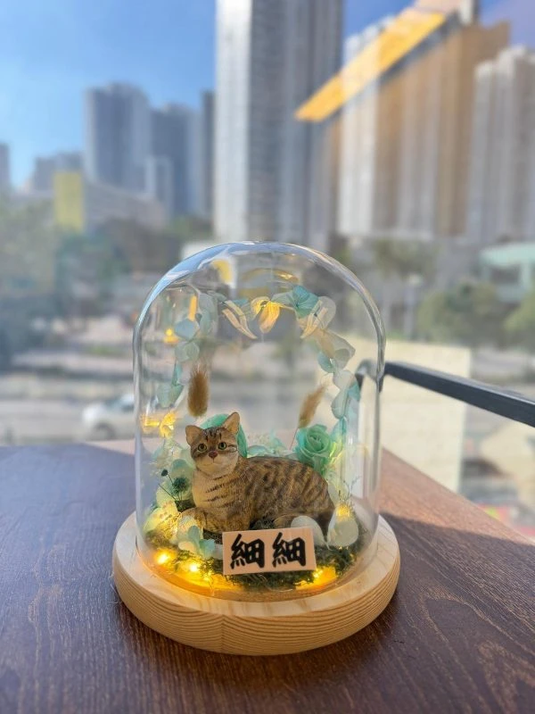 【玻璃穹頂的喵星光】客製寵物貓公仔｜乾燥花花環 × 小燈串