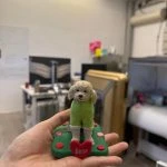 手掌托著的狗狗公仔：米白色卷毛小狗穿綠色連身衣站在綠草底座上，四周有紅粉小玫瑰裝飾，前方紅色愛心寫著「Bear」。